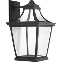 Progress P6058-3130K9 - Endorse Collection One-Light Large Wall Lantern