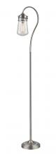 Z-Lite FL120-BN - 1 Light Floor Lamp