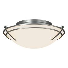 Hubbardton Forge 124402-SKT-82-GG0098 - Presidio Tryne Flush Mount