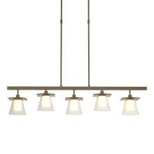 Hubbardton Forge 136605-SKT-SHRT-84-ZU0284 - Wren 5 Light Pendant